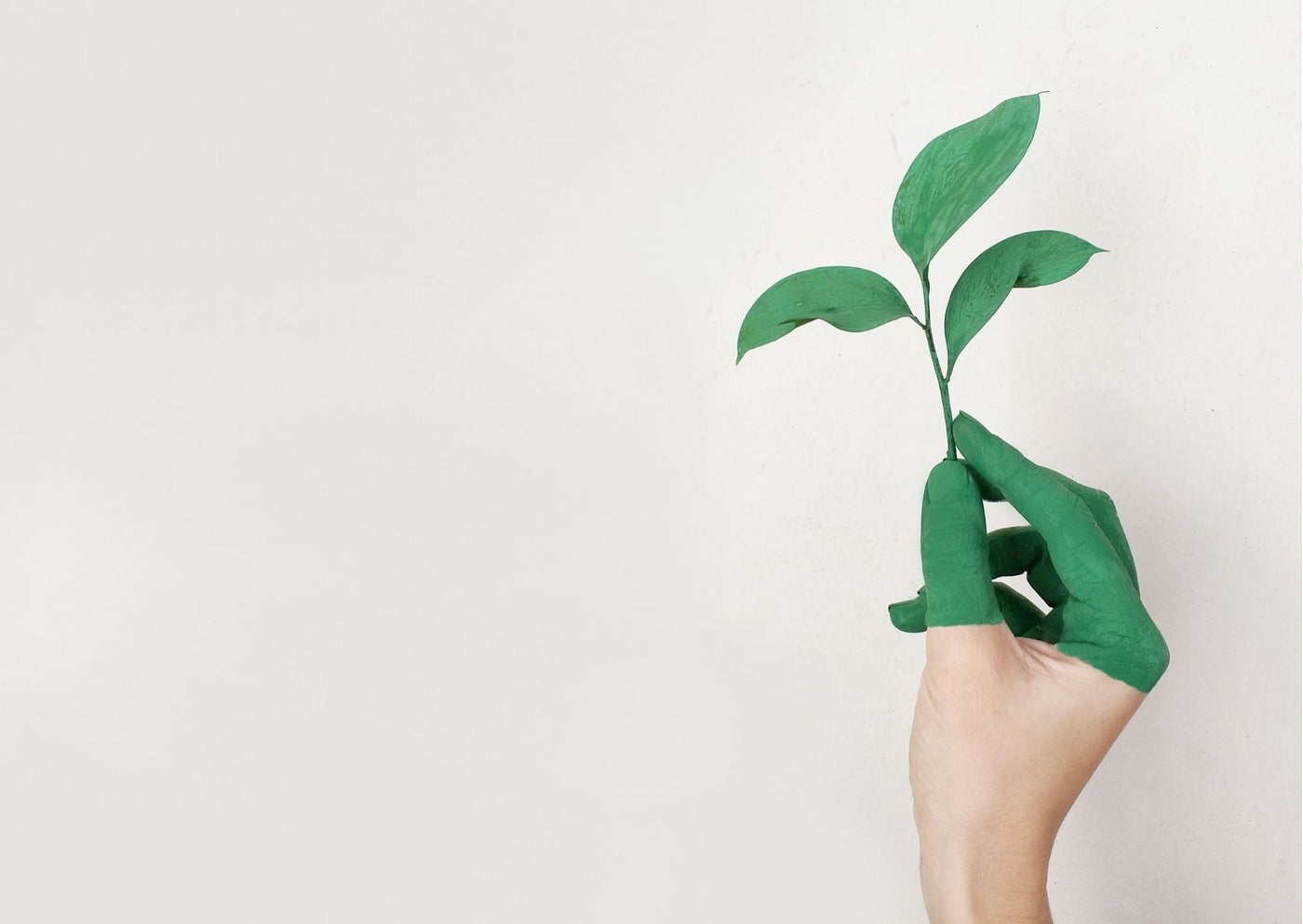 What Is Greenwashing? And How to Spot It... - My Little Green Wardrobe