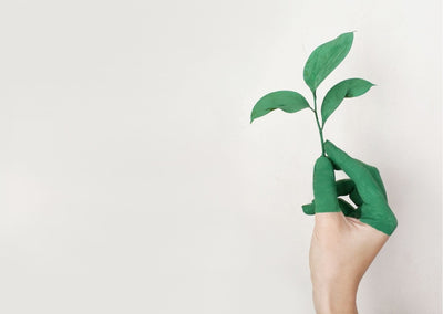 What Is Greenwashing? And How to Spot It...
